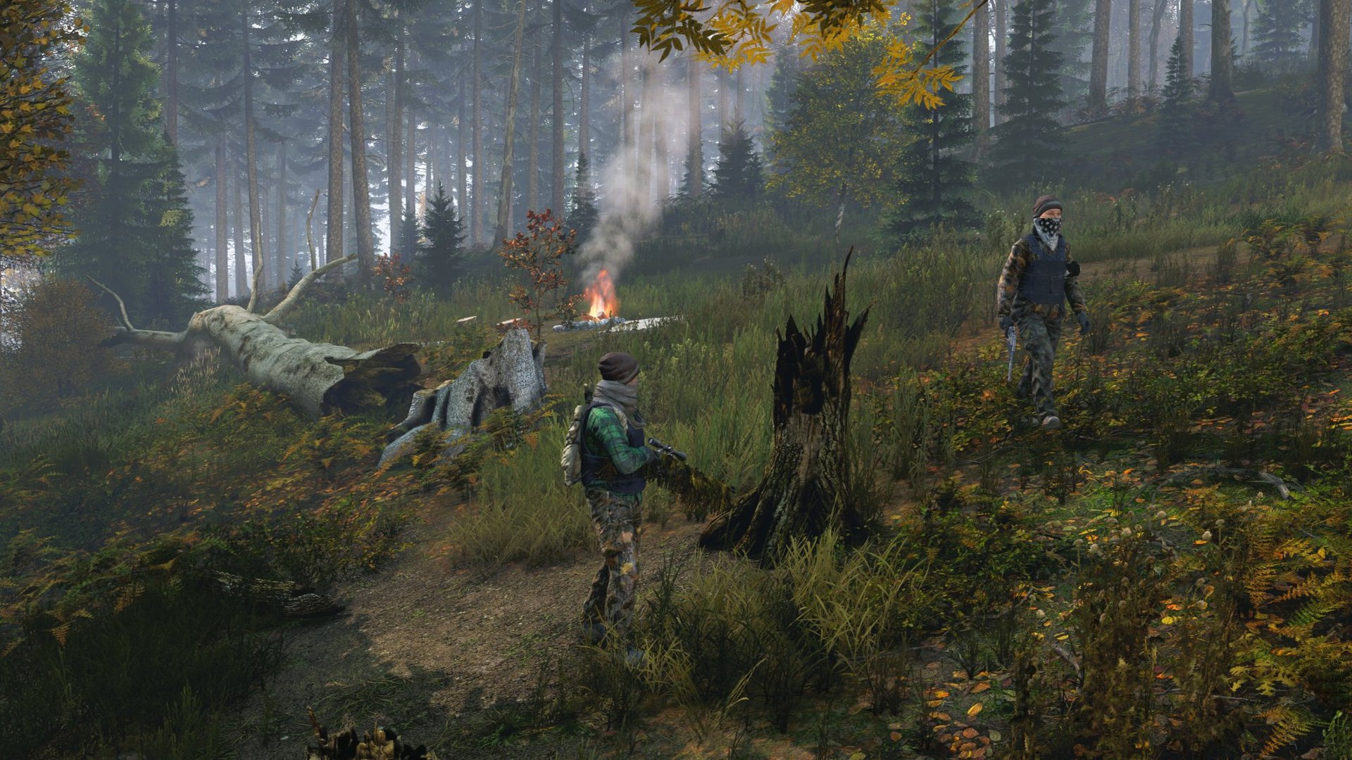 Dynamic Bandit Camps