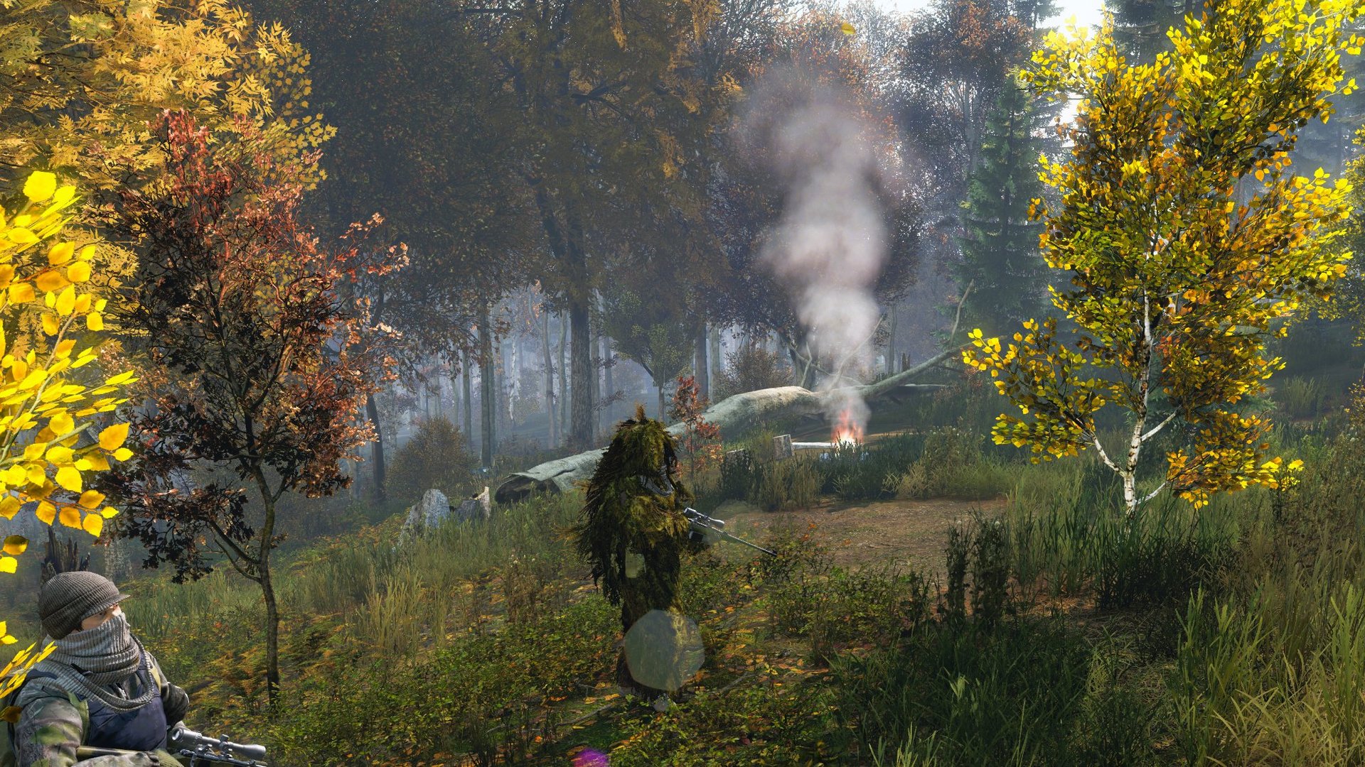 Bandits in the woods